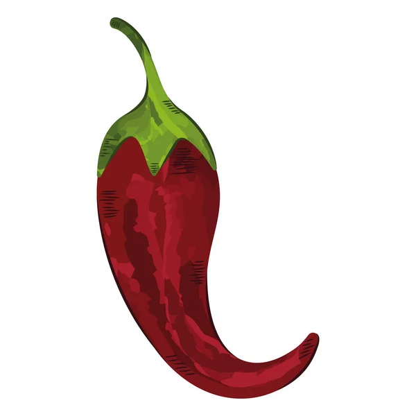 Piment rouge — Image vectorielle