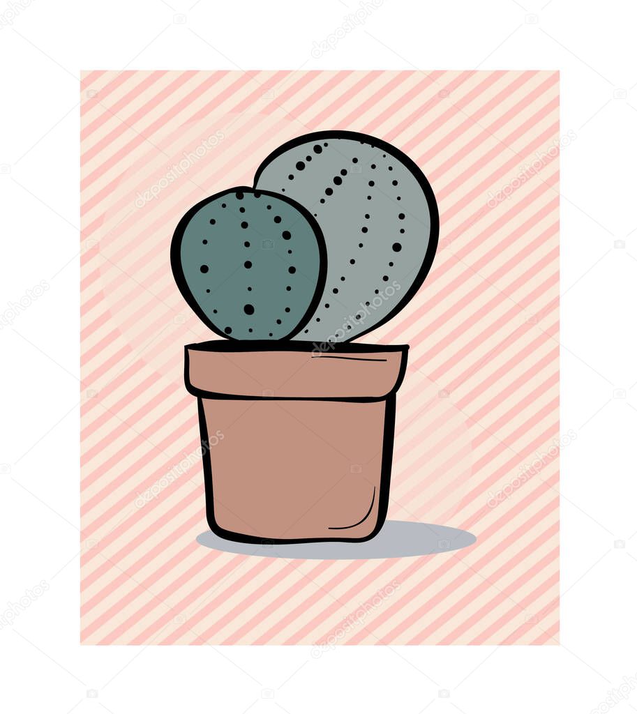 vector cactus drawing, succulent plant, desert plant.