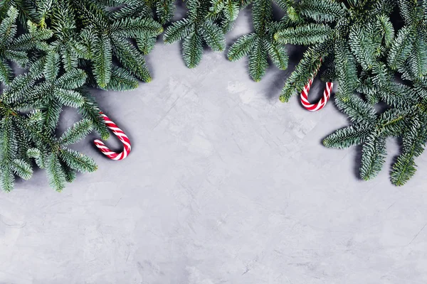 Fondo de hormigón de Navidad con abeto y caramelos . — Foto de Stock