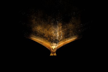 Kuşlar. Dağılma, sıçrama etkisi. Soyut doğa arkaplanı.