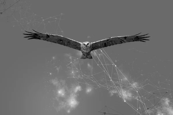 Partículas Arte Geométrica Linha Ponto Pássaro Voando Ilustração Abstrata — Fotografia de Stock
