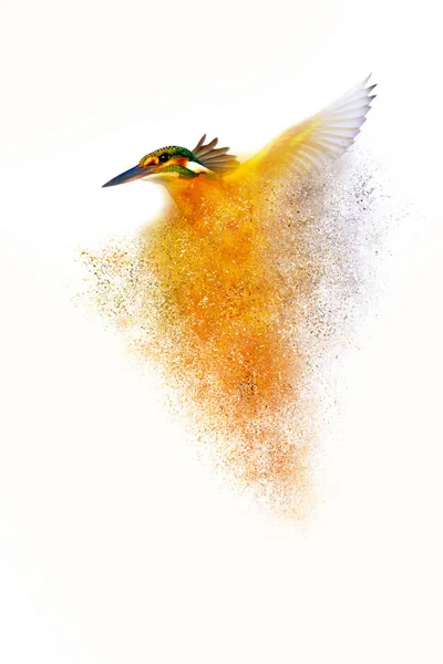 Uccelli Dispersione Effetto Splatter Sfondo Della Natura Astratta — Foto Stock