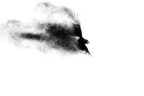 Des Oiseaux Dispersion Effet Éclaboussure Nature Abstraite Fond — Photo