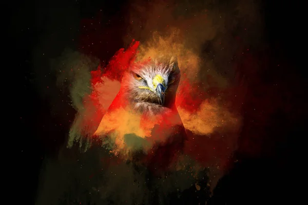 Greifvogel Porträt Zerstreuung Splatter Effekt Farbenfroher Hintergrund — Stockfoto