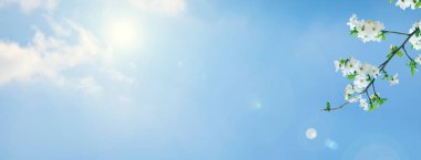 Yatay doğa afişi. Doğa temalı arkaplan