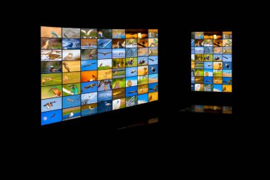 Television screen. Nature photos. Black background. clipart