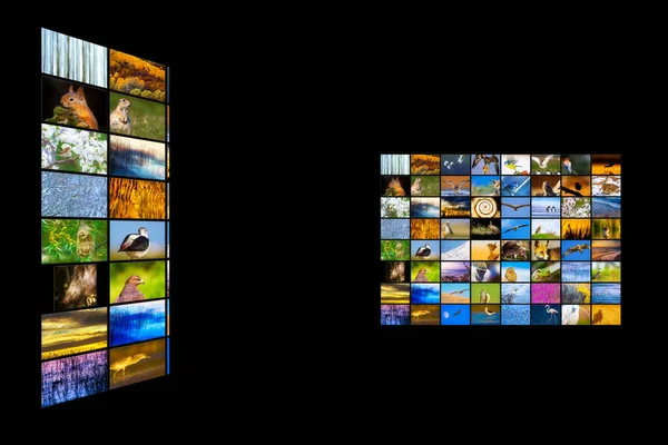 Television Screen Nature Photos Black Background — Stock Fotó