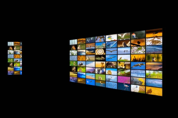 Television screen. Nature photos. Black background.