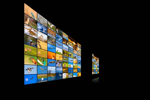 Television Screen Nature Photos Black Background — Stock Photo, Image