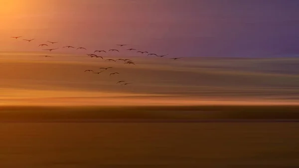 Flygande Fåglar Filmatisk Abstrakt Natur Bakgrund — Stockfoto