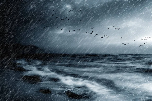 Yağmurlu bir gün. Uçan kuşlar. Doğa arkaplanı. 