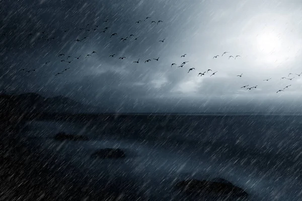 Yağmurlu bir gün. Uçan kuşlar. Doğa arkaplanı. 
