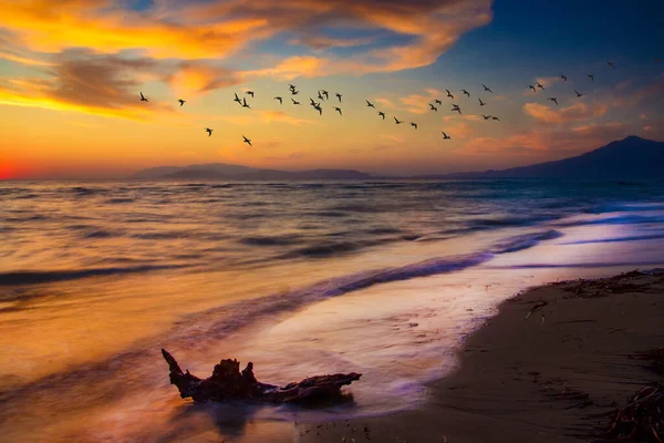 Günbatımı Doğası Uçan Kuşlar Doğa Arkaplanı — Stok fotoğraf