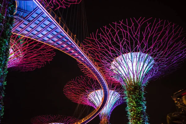 SINGAPORE: Superalberi e ponti illuminati per lo spettacolo di luce nei giardini vicino alla baia — Foto Stock