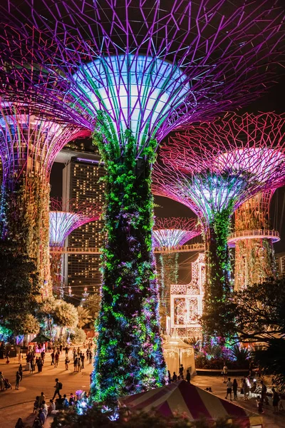 Singapur: Körfez kenarındaki bahçelerde ışık gösterisi için aydınlatılmış süperağaçlar