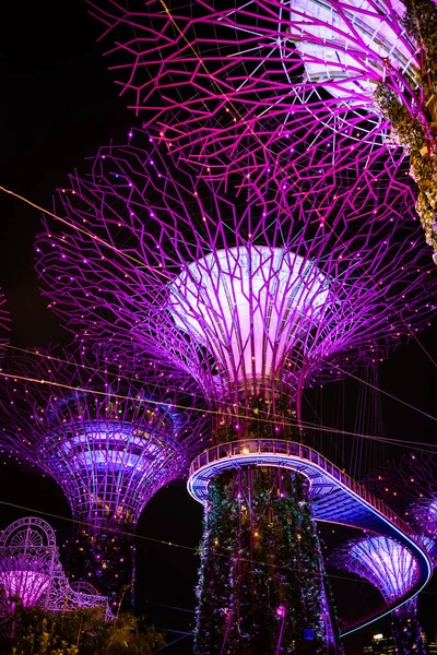 Singapore: Superbäume und Brücke beleuchtet für Lichtshow in Gärten an der Bucht — Stockfoto