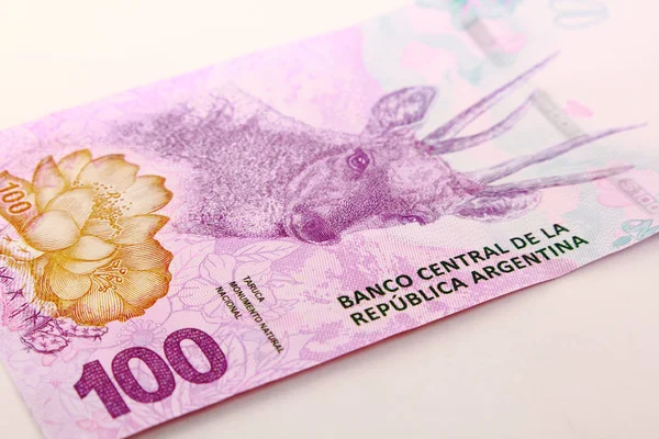 Dinheiro Argentino Moeda Argentino — Fotografia de Stock