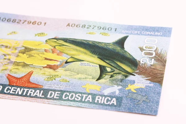 Costa Rica Money Currency Costa Rica — Stock Photo, Image