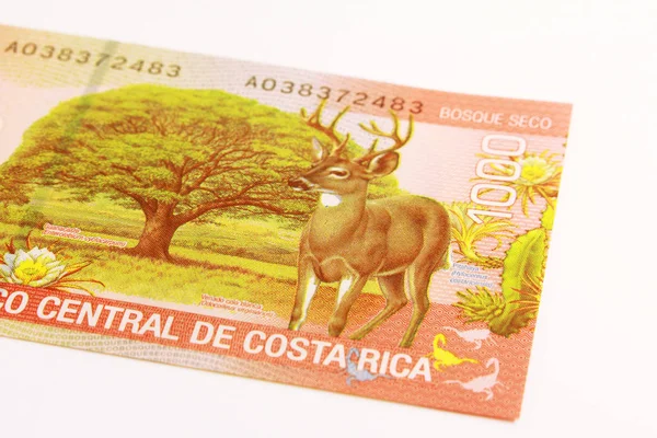 Costa Rica Argent Monnaie Costa Rica — Photo