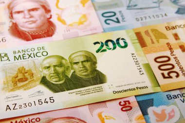 Meksika Para Birimi - Meksika Para Birimi, Pesos