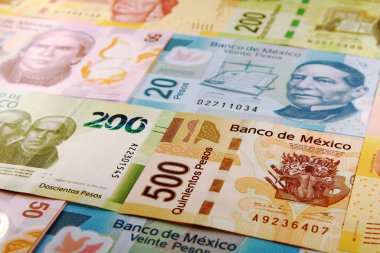 Meksika Para Birimi - Meksika Para Birimi, Pesos