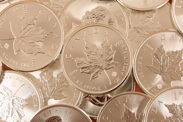 Juharfalevél Ezüst Kanadai Ezüst Uncia Tiszta Ezüstből Készült Érme Érmegyűjtők — Stock Fotó