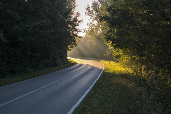 Yolun sonundaki ışık