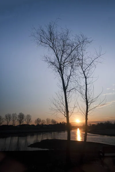 Siluette Dwóch Drzew Słońcem Tle Wschód Słońca Żółtym Niebieskim Niebem — Zdjęcie stockowe