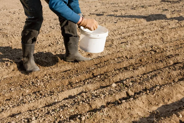 Een Vrouw Plant Een Billet Middag — Stockfoto