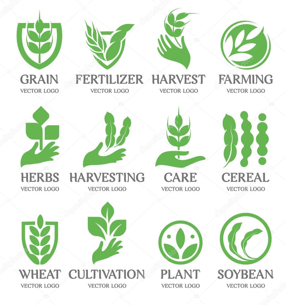 Isolated abstract green color wheat ear logo collection. Nature element logotype set. Leaf in human hand icon. Agricultural organic products signs. Harvesting vector illustration