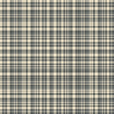 Kareli kumaş tartan Tekstil. Vektör vintage seamless modeli.