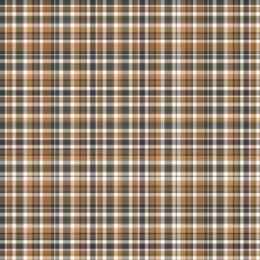 Kareli kumaş tartan Tekstil. Vektör vintage seamless modeli.