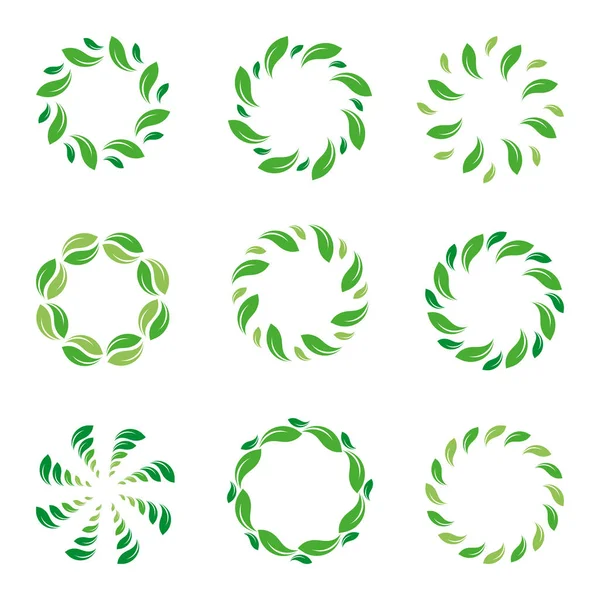 Bingkai daun. Lingkaran daun. Logo abstrak hijau organik. Koleksi batas eko terisolasi vektor . - Stok Vektor