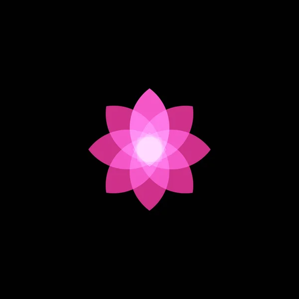 Elkülönített absztrakt csillag színes logó. Színes virág logó. Lotus vektor emblémát. Gladiolus vektor logo. Nárcisz vektor logo. Organikus természeti ikon. Mezőgazdasági színes ikon. Átlátszó hatás stilizált. — Stock Vector