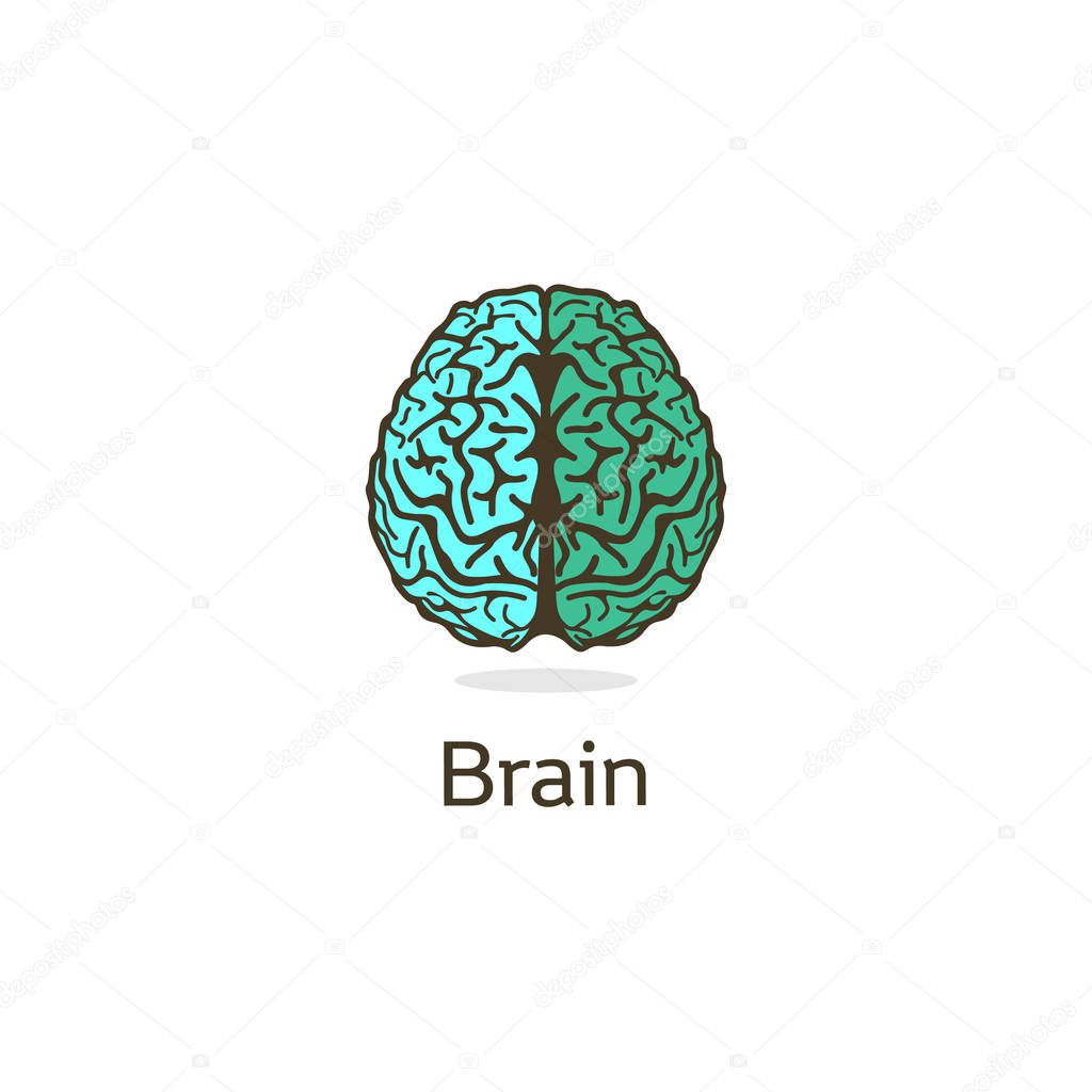 Unusual vector illustration depicting gyrus and divisions of the human brain. The mind and the mind of mankind. Isolated turuoise logo