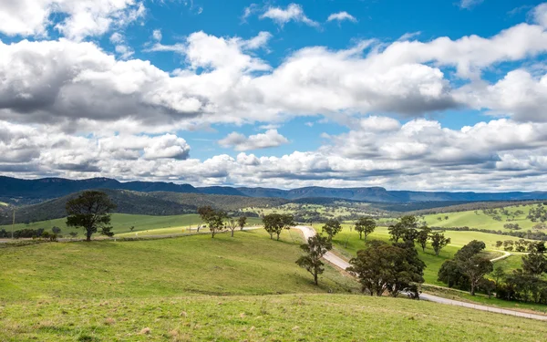 Tierra de hierba del campo de Australia —  Fotos de Stock