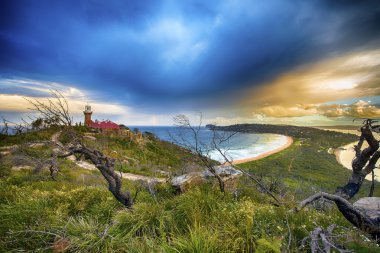Palm beach Nsw Avustralya