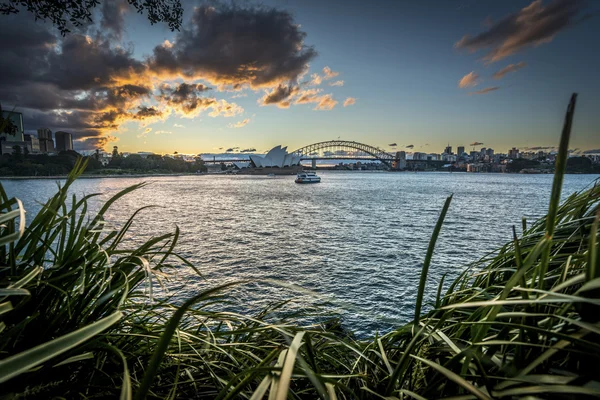 Sydney Opera huis — Stockfoto