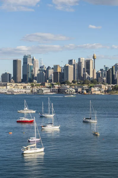 悉尼城市风景 — 图库照片
