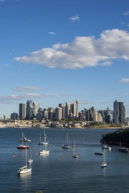 View of Sydney city  clipart