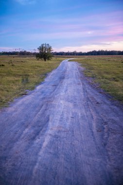 Blue Dağları Milli Parkı'ndan manzara