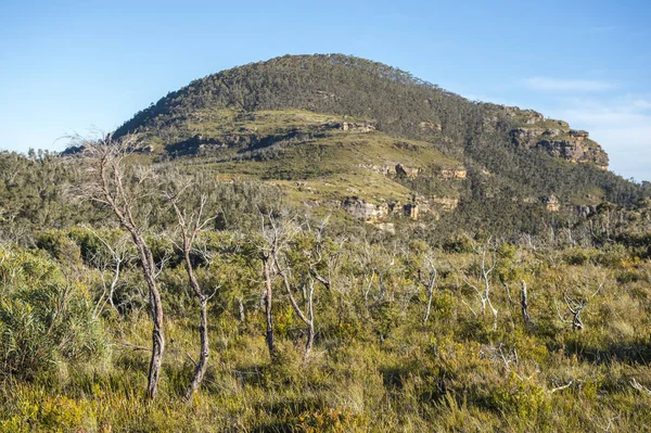 Paisaje del Parque Nacional Montañas Azules — Foto de Stock