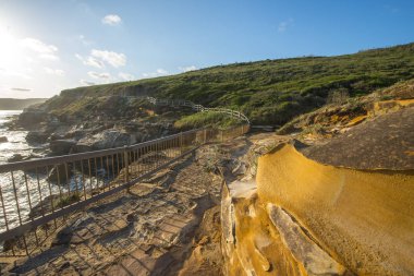 Güzel kıyı Sydney Bouddi Milli Parkı