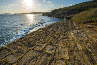 Güzel kıyı Sydney Bouddi Milli Parkı