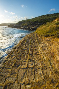 Güzel kıyı Sydney Bouddi Milli Parkı