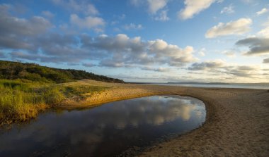 Güzel kıyı Sydney Bouddi Milli Parkı