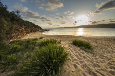 Güzel kıyı Sydney Bouddi Milli Parkı