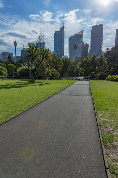 Botaniska trädgården Sydney. — Stockfoto