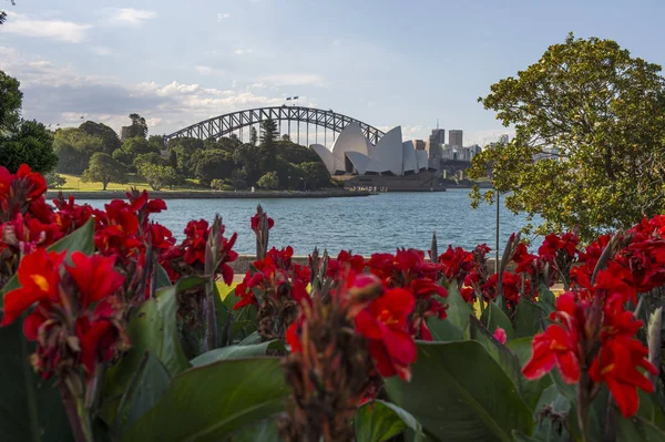 Jardim Botânico de Sydney — Fotografia de Stock