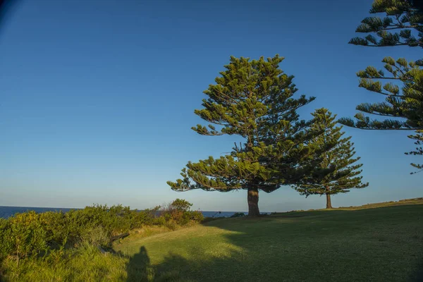 Hermoso paisaje de Bermagui en Australia — Foto de Stock